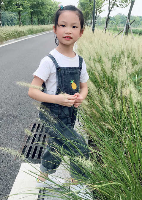 模特-