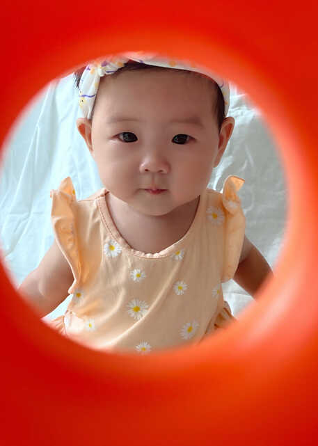 模特-