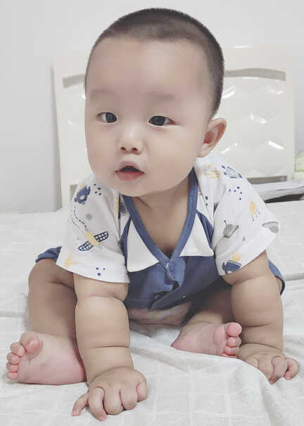 模特-