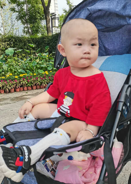 模特-