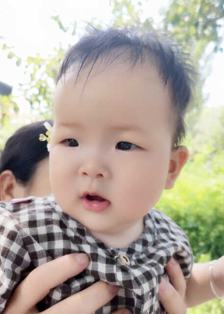 模特-