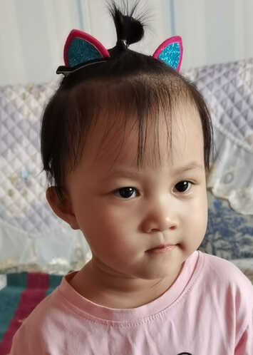 模特-