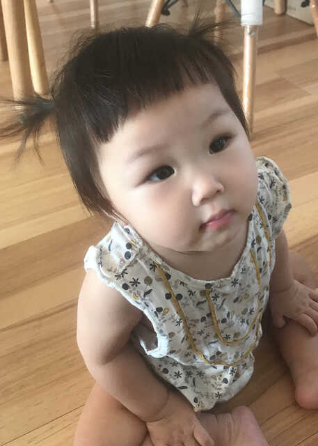 模特-