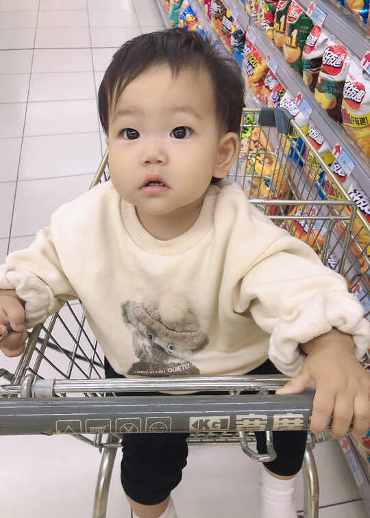 模特-