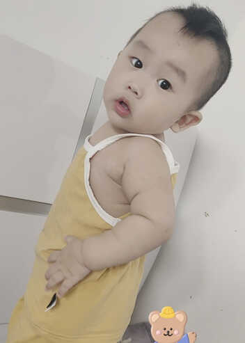 模特-