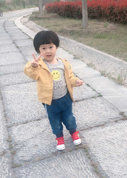 模特-