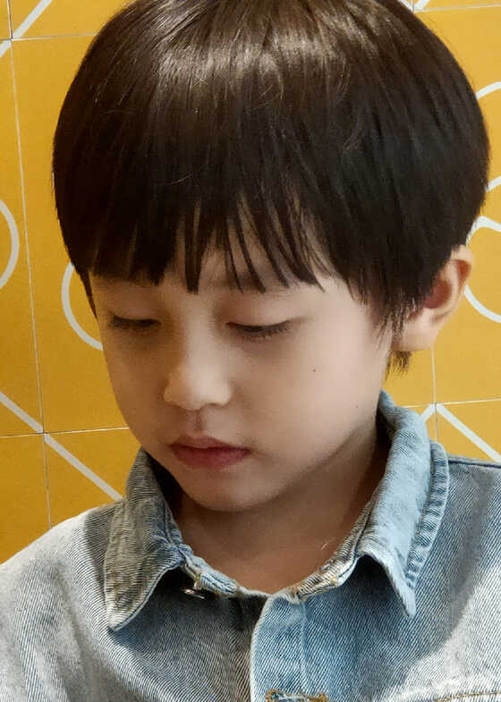 模特-