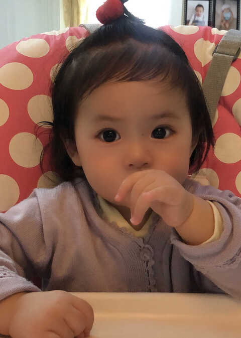 模特-
