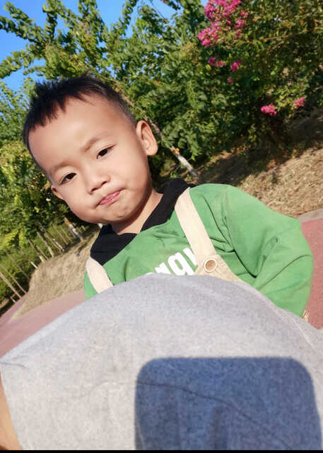 模特-