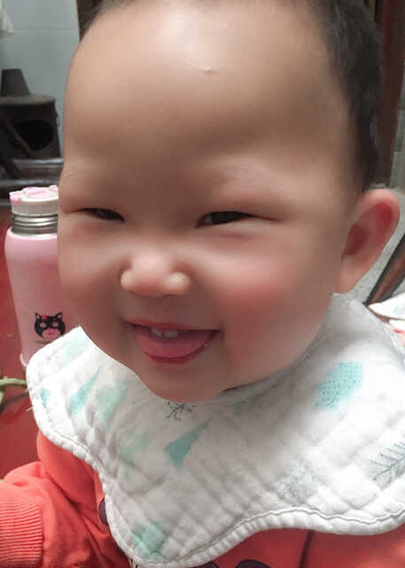 模特-
