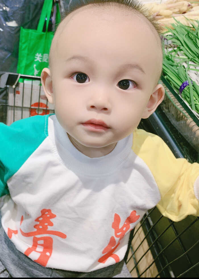 模特-