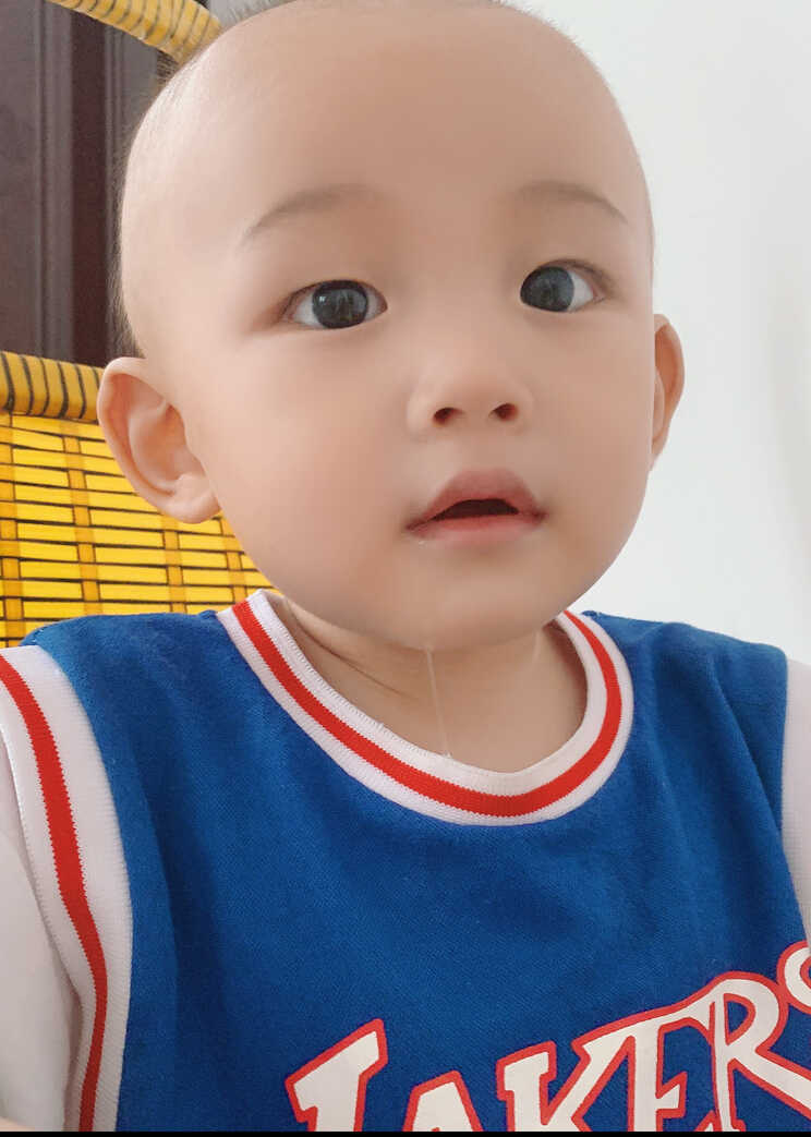 模特-