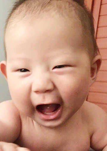 模特-