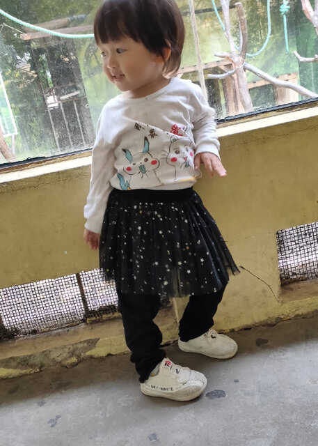 模特-