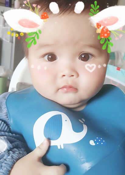 模特-