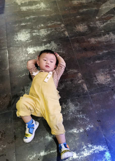 模特-