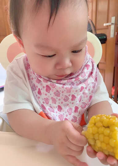 模特-
