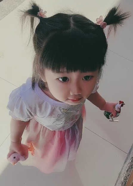 模特-
