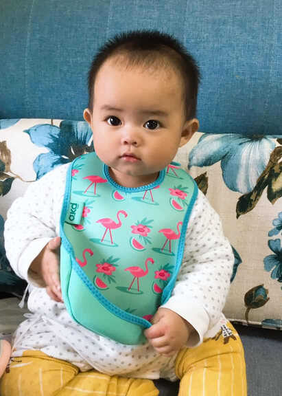 模特-