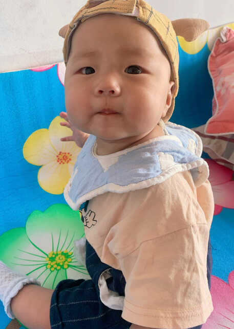 模特-