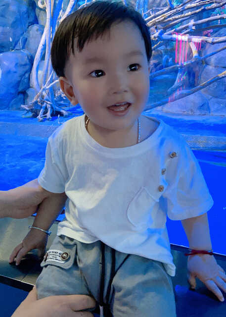 模特-