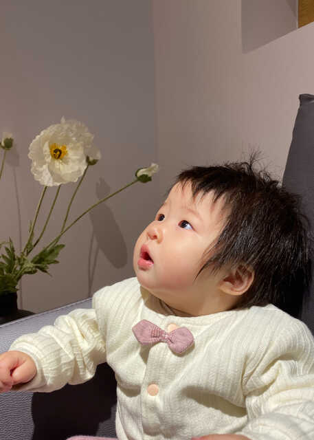 模特-