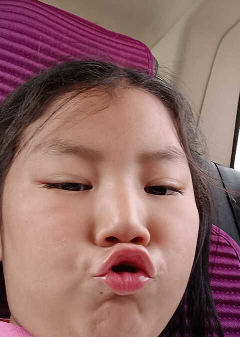 模特-