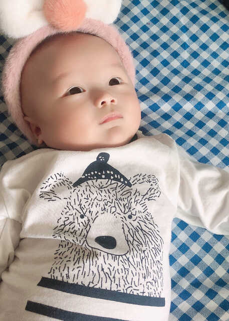 模特-
