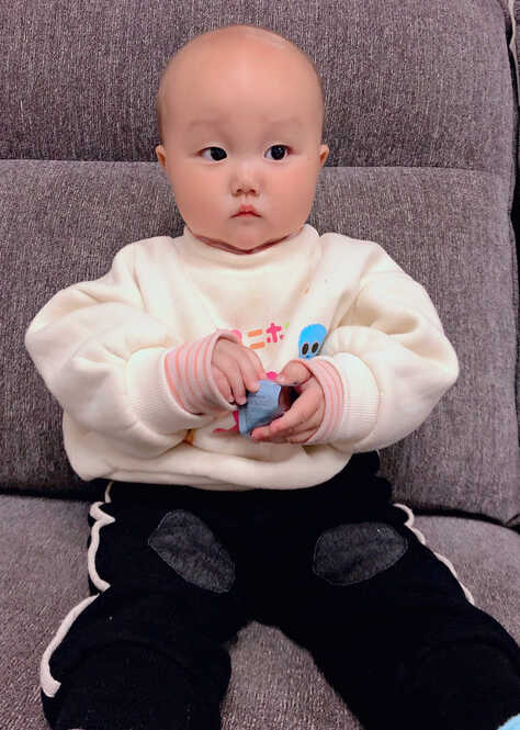 模特-