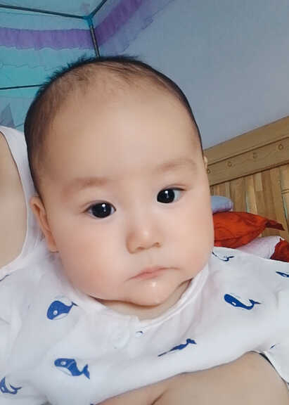 模特-