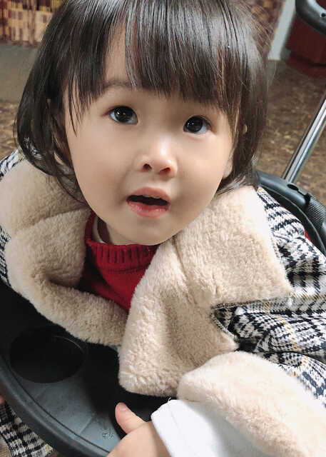 模特-