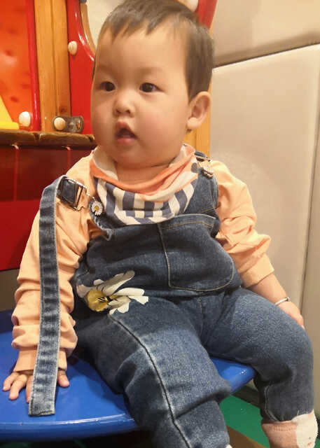 模特-