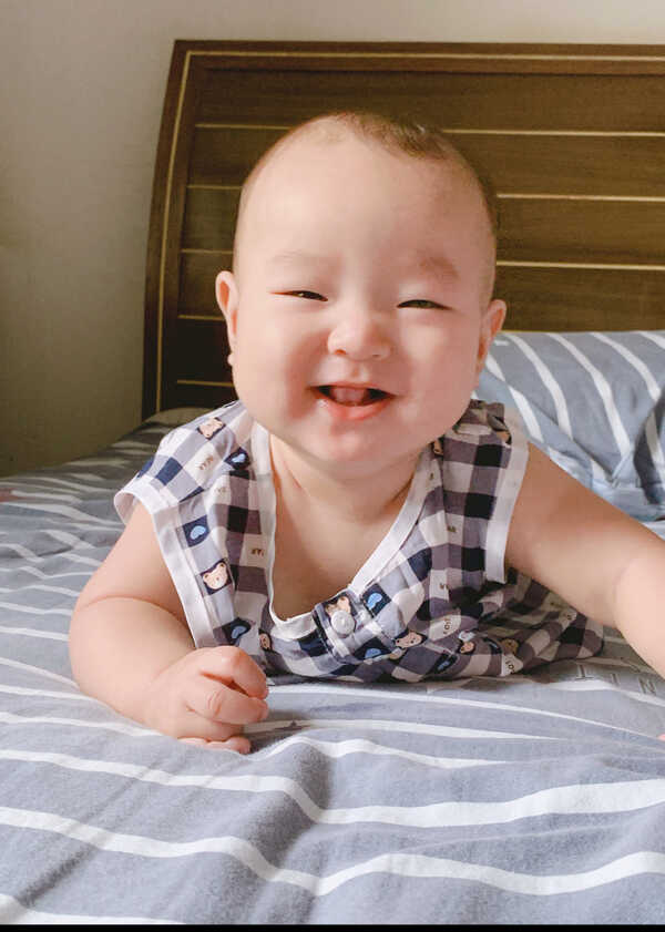 模特-