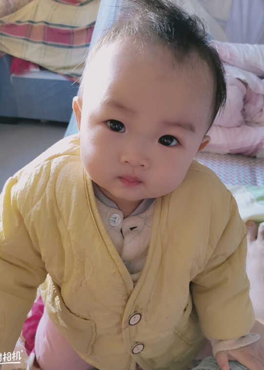 模特-