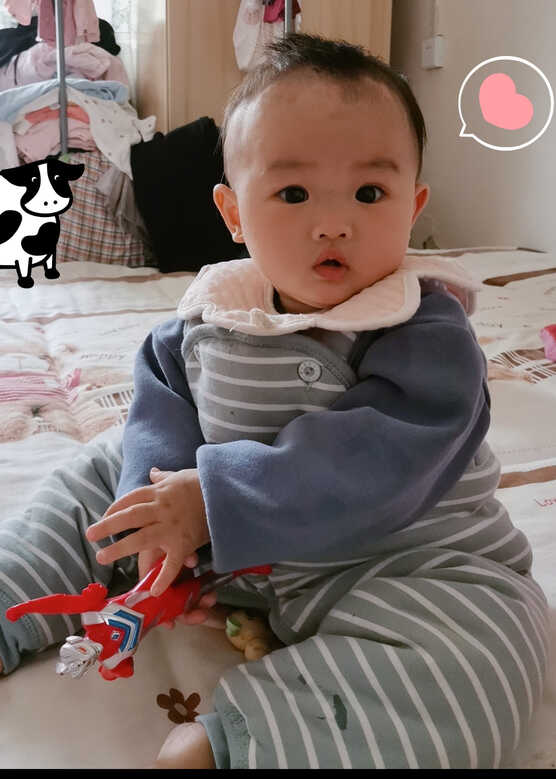 模特-