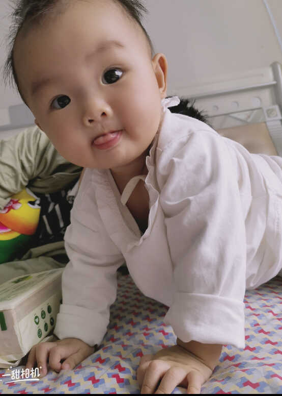 模特-