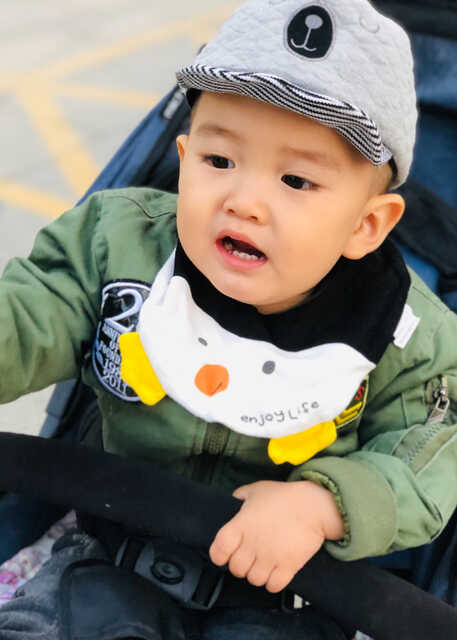 模特-
