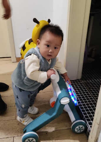 模特-