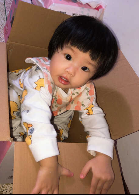 模特-