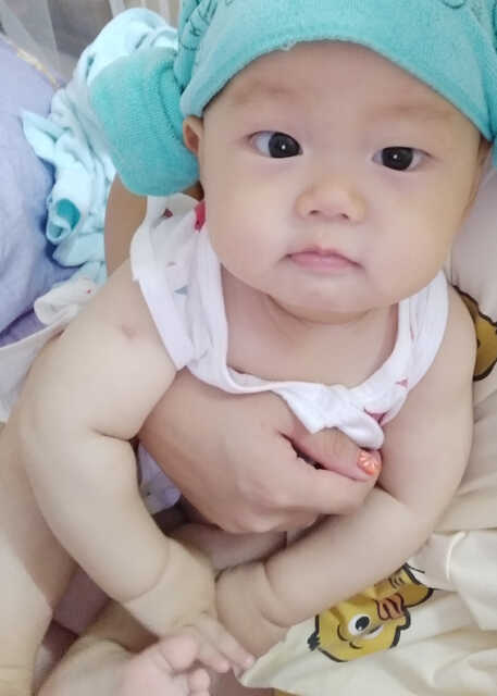 模特-