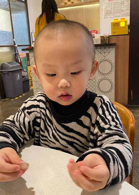 模特-