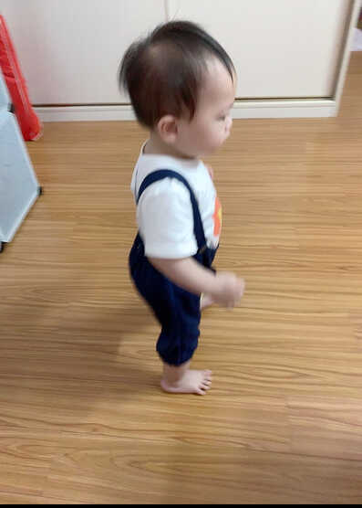 模特-