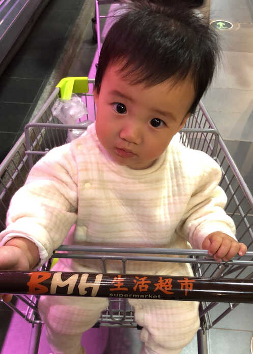 模特-