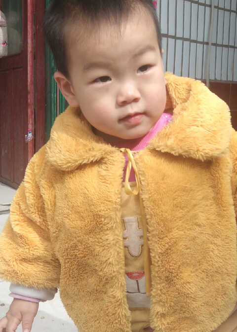 模特-