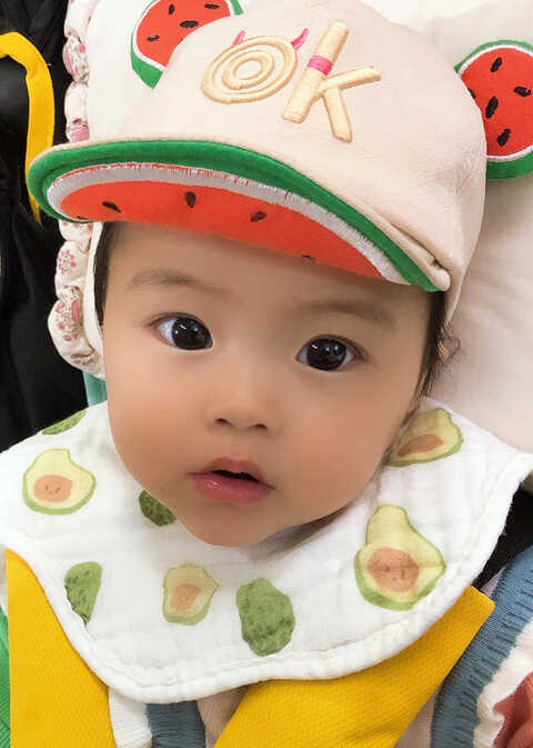 模特-
