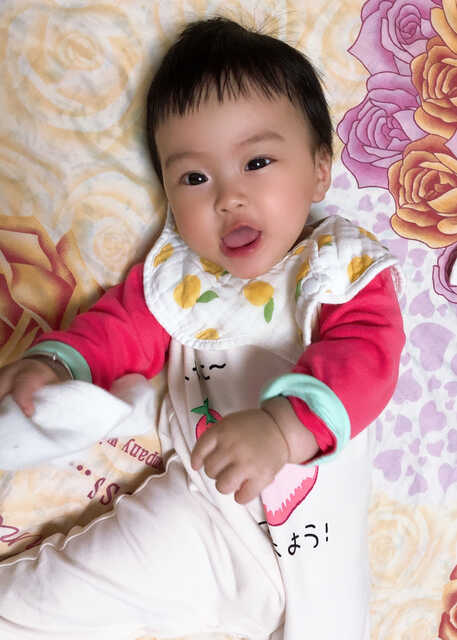 模特-