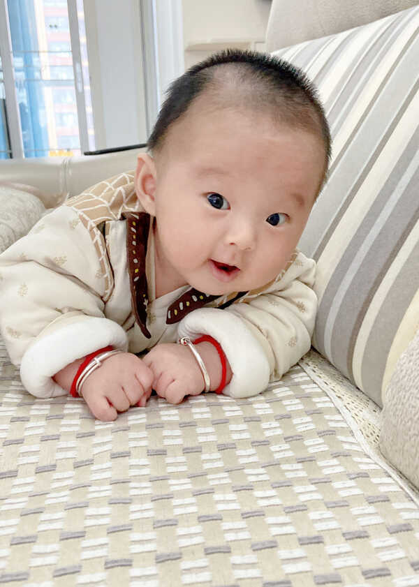 模特-