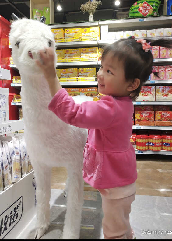 模特-