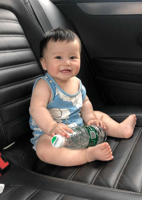 模特-