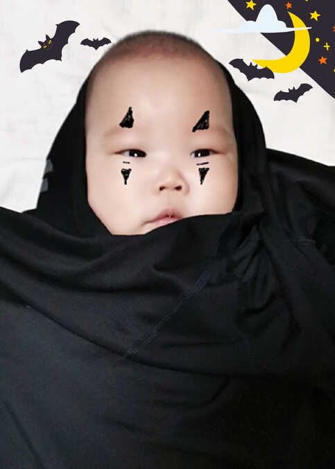 模特-